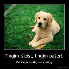Tingim išleist, tingim pašert, - Bet kai jie mirštą, viską dėl jų.