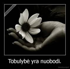 Tobulybė yra nuobodi. - 