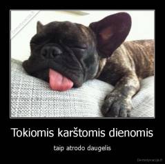 Tokiomis karštomis dienomis - taip atrodo daugelis
