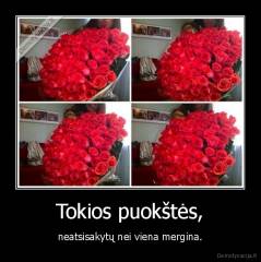 Tokios puokštės, - neatsisakytų nei viena mergina.