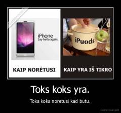 Toks koks yra. - Toks koks noretusi kad butu.