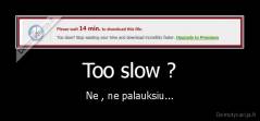Too slow ? - Ne , ne palauksiu...