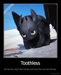 Toothless - Isn't he's the cutest? After this face you'll never find cuter then that face.