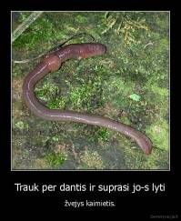 Trauk per dantis ir suprasi jo-s lyti - žvejys kaimietis.