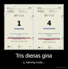 Tris dienas gina - o, ketvirtą muša...