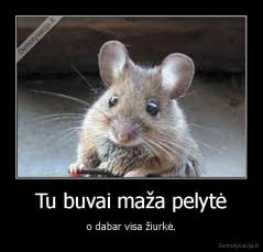 Tu buvai maža pelytė - o dabar visa žiurkė.