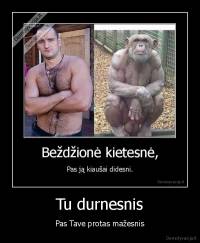 Tu durnesnis - Pas Tave protas mažesnis