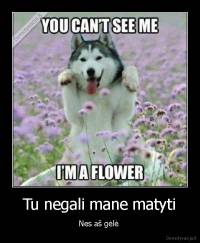 Tu negali mane matyti - Nes aš gėlė 