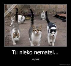 Tu nieko nematei... - kapiš?
