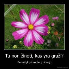 Tu nori žinoti, kas yra graži? - Paskaityk pirmą žodį išnaujo