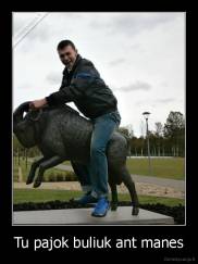 Tu pajok buliuk ant manes - 
