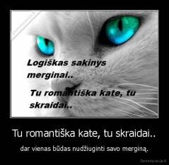 Tu romantiška kate, tu skraidai.. - dar vienas būdas nudžiuginti savo merginą.