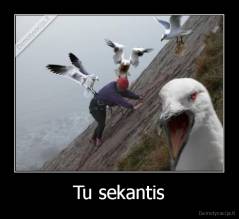 Tu sekantis - 