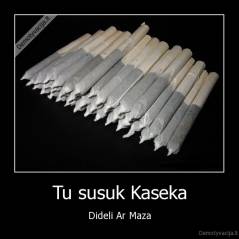Tu susuk Kaseka - Dideli Ar Maza