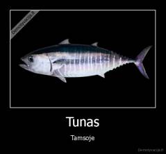 Tunas - Tamsoje