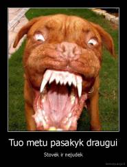Tuo metu pasakyk draugui - Stovėk ir nejudėk