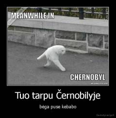 Tuo tarpu Černobilyje - bėga puse kebabo