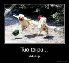 Tuo tarpu... - Meksikoje