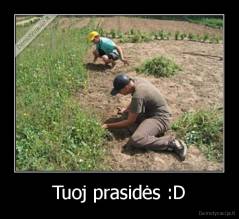 Tuoj prasidės :D - 