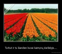 Turbut ir tu šiandien buvai kaimynų darželyje.... - 