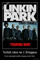 Turbūt nėra ne 1 žmogaus - Kuris vaikystėje nebūtu klauses Linkin Park.