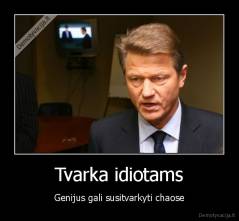 Tvarka idiotams - Genijus gali susitvarkyti chaose