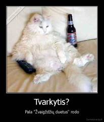 Tvarkytis? - Pala "Žvaigždžių duetus" rodo