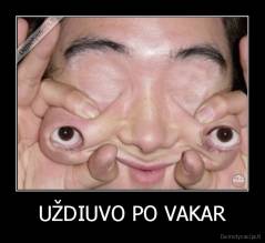 UŽDIUVO PO VAKAR - 