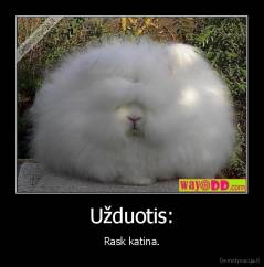 Užduotis: - Rask katina.