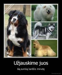 Užjauskime juos - šią sunkią karščio minutę