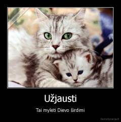 Užjausti - Tai mylėti Dievo širdimi