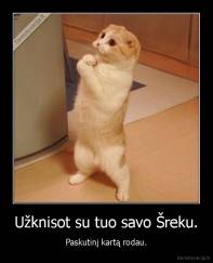 Užknisot su tuo savo Šreku. - Paskutinį kartą rodau.