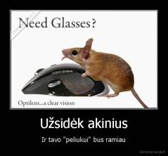 Užsidėk akinius - Ir tavo "peliukui" bus ramiau