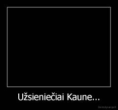 Užsieniečiai Kaune... - 