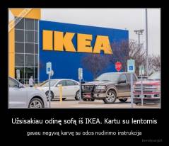 Užsisakiau odinę sofą iš IKEA. Kartu su lentomis - gavau negyvą karvę su odos nudirimo instrukcija
