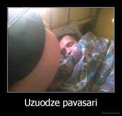 Uzuodze pavasari - 