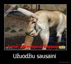 Užuodžiu sausaini  - 