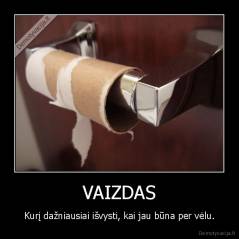 VAIZDAS - Kurį dažniausiai išvysti, kai jau būna per vėlu.