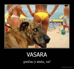 VASARA - greičiau ji ateitu, ne?