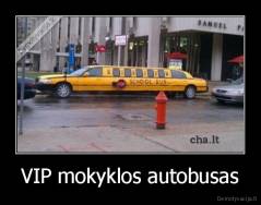 VIP mokyklos autobusas - 