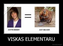 VISKAS ELEMENTARU - 