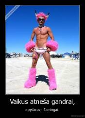 Vaikus atneša gandrai, - o pydarus - flamingai. 