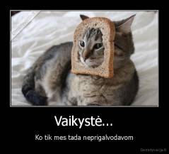 Vaikystė... - Ko tik mes tada neprigalvodavom
