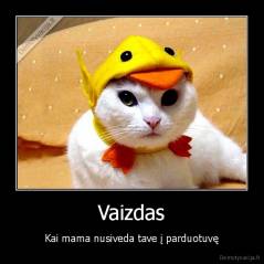Vaizdas - Kai mama nusiveda tave į parduotuvę