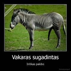 Vakaras sugadintas - Intikas pakibo