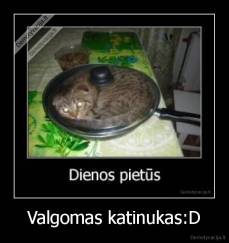 Valgomas katinukas:D - 