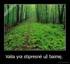 Valia yra stipresnė už baimę.  - 