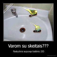 Varom su skeitais??? -  Paskutinis supuvęs kiašinis :DD