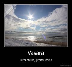 Vasara - Letai ateina, greitai išeina