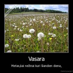 Vasara - Metas,kai nežinai kuri šiandien diena.